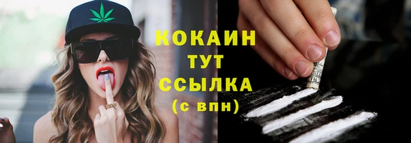 spice Медвежьегорск