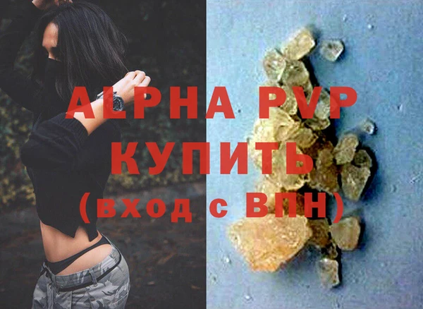 прущие грибы Мегион