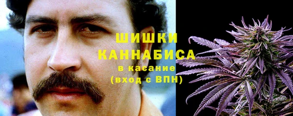 прущие грибы Мегион
