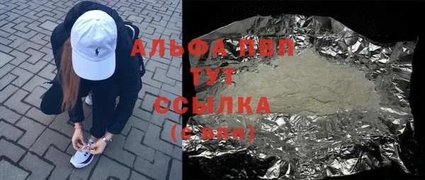 прущие грибы Мегион