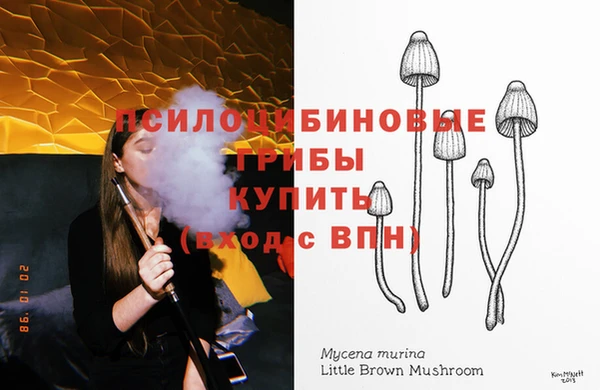 прущие грибы Мегион